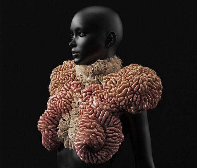 photo of 3D printed wearables are a whole new level of weird image