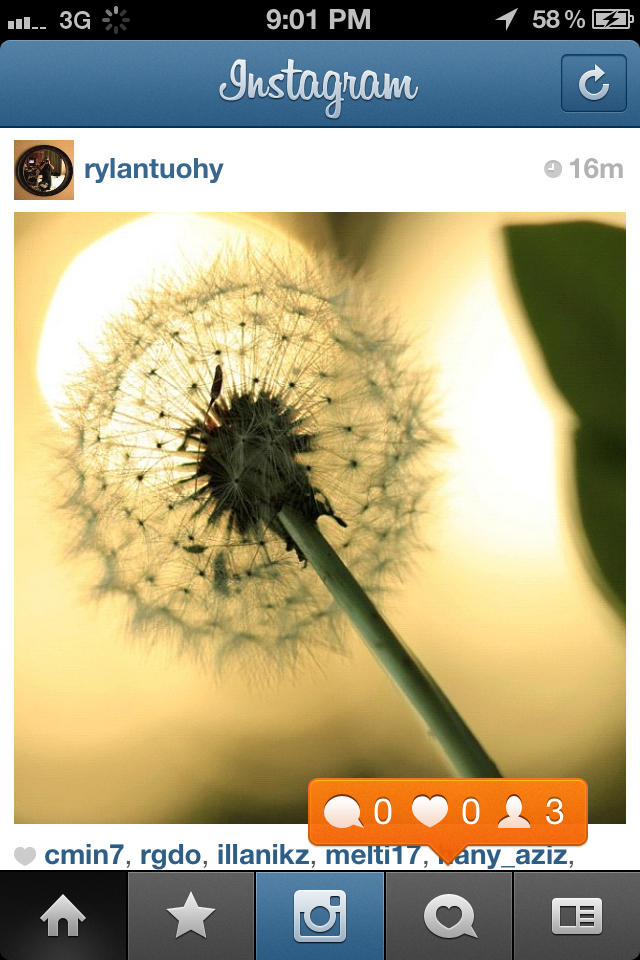 Image result for instagram interface
