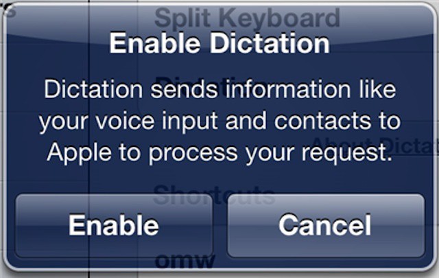 Enabling dictation on the iPad means sending your voice and personal data to Apple