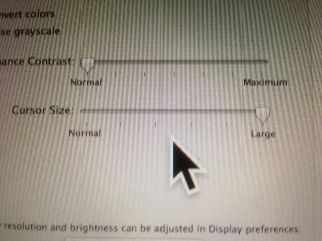 mac mouse pointer gets big