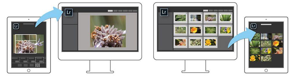 Lightroom For The Ipad Is Straight Up Amazing Cult Of Mac