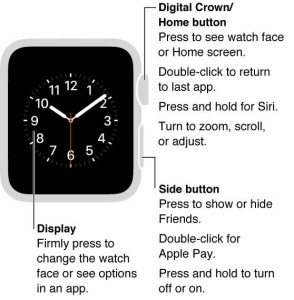 apple watch signal