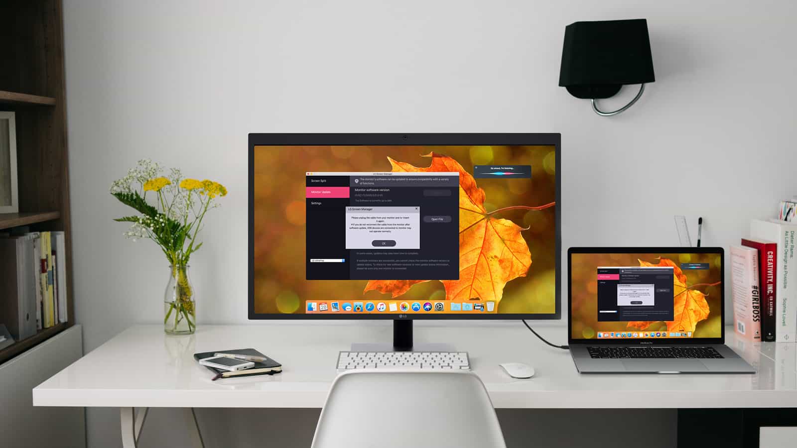That sweet macOS High Sierra update will be painless for LG UltraFine Monitor owners.