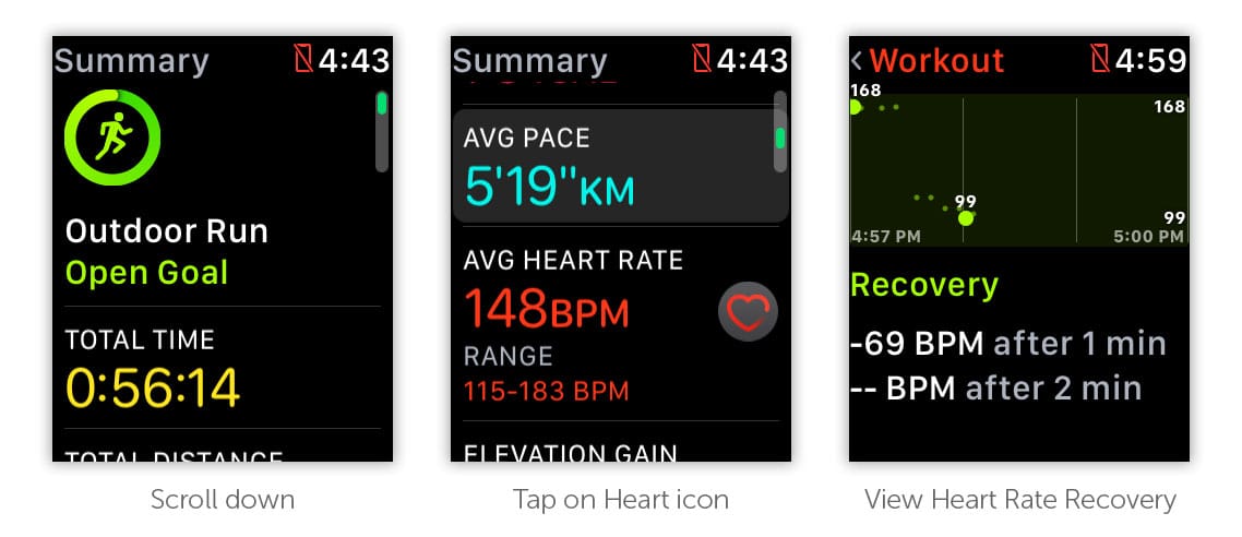 Pulse Rate Recovery After Exercise Chart