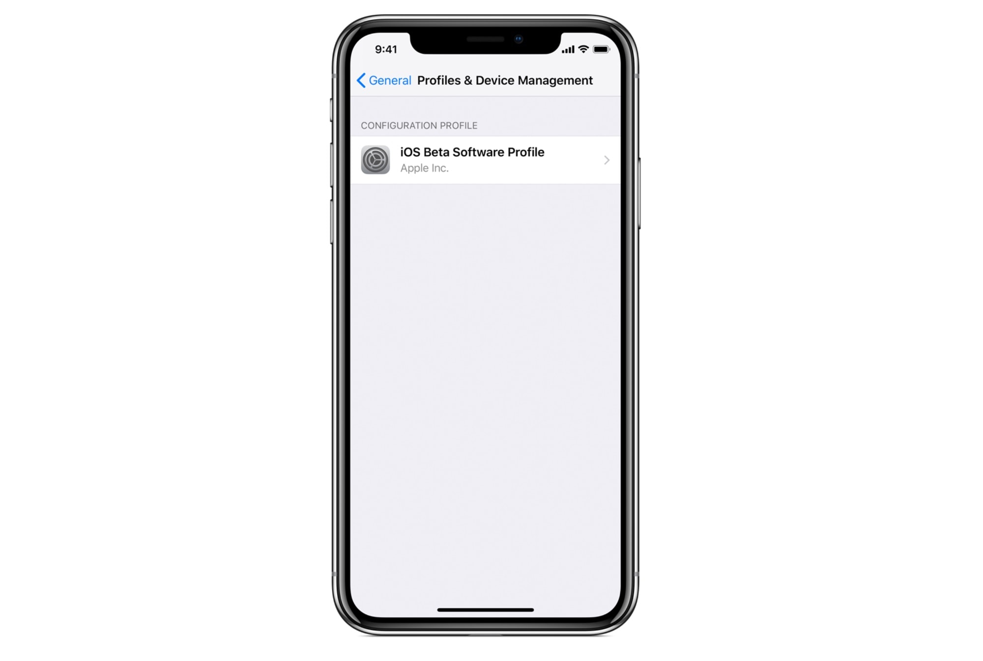 betaprofiles ios 12