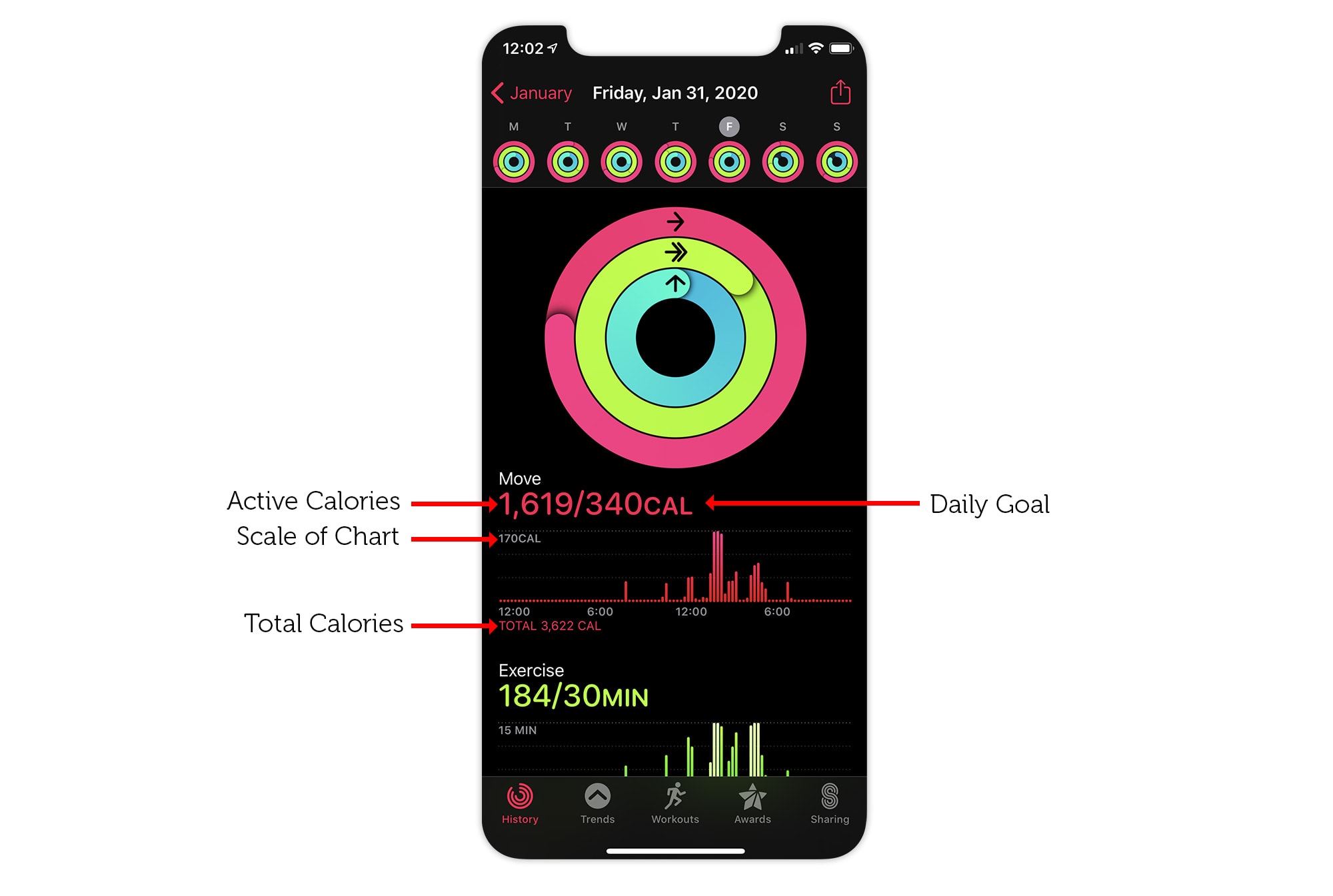 Where to find Active Calories and Total Calories in the Activity app.