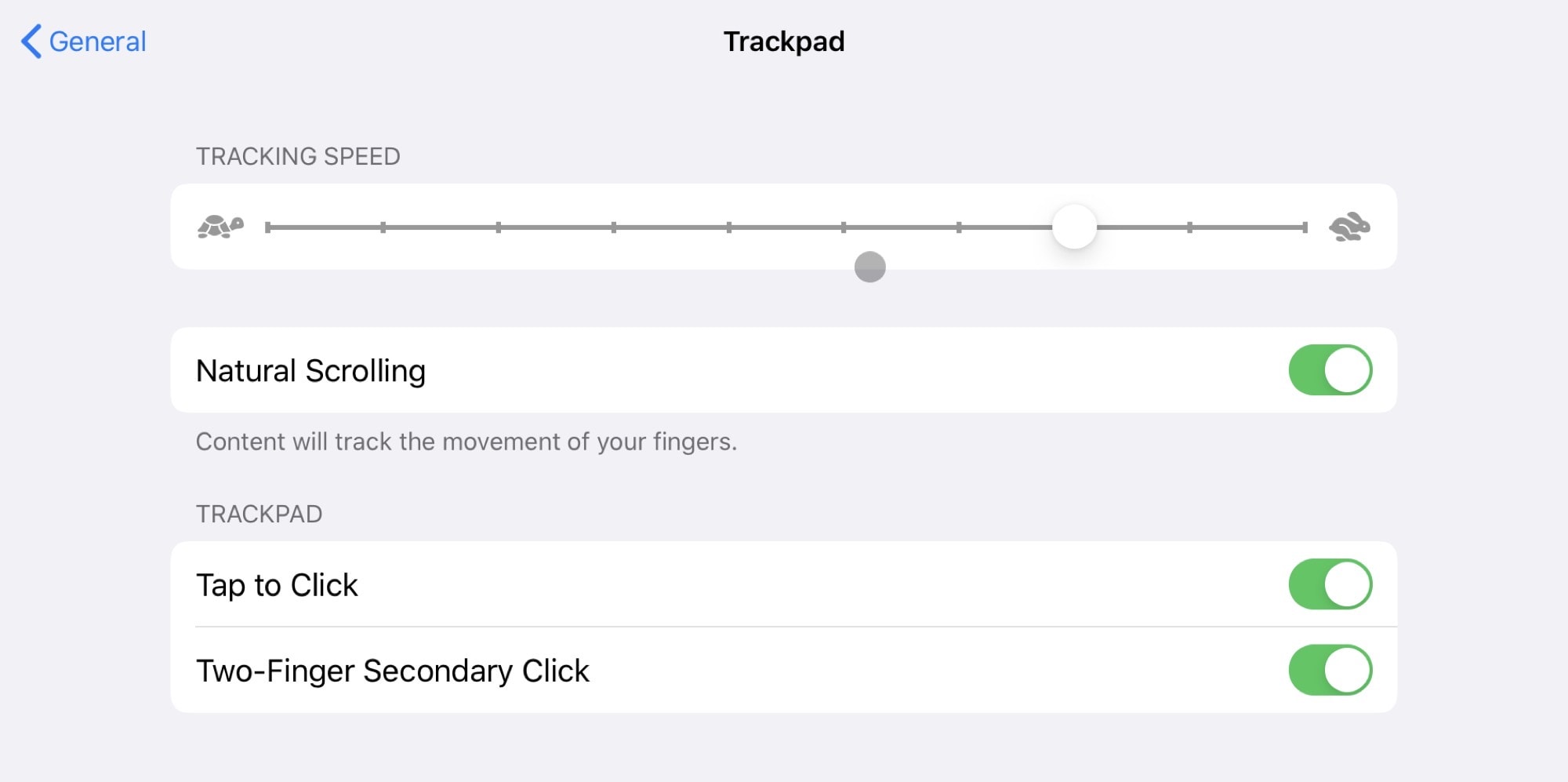 The settings for the latest Magic Trackpad on iPad Pro. 