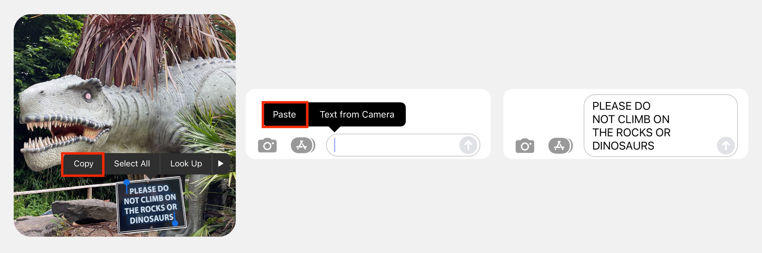 How to copy and paste from photos in iOS 15