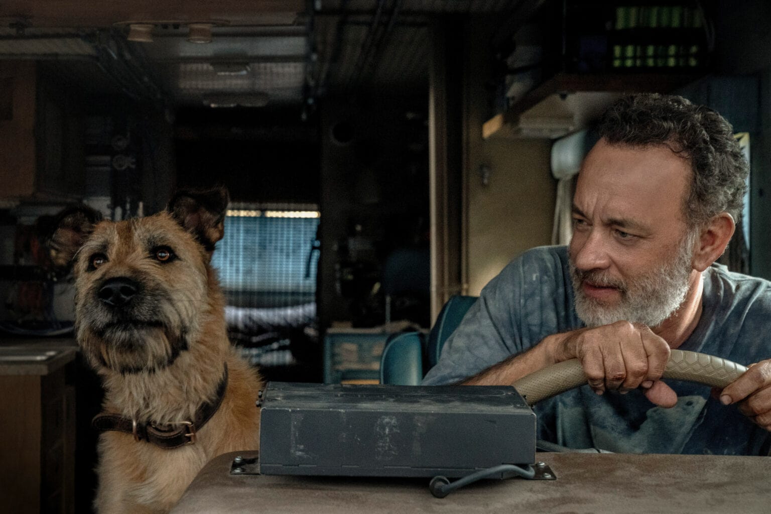 Finch review: Tom Hanks plays the last man on earth.